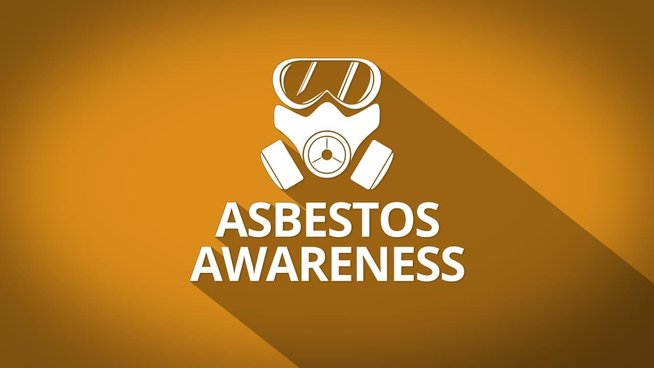 Professional asbestos awareness training session